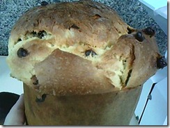 Panettone-artesanal-Marilda-Fajardo